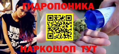 стафф Свободный