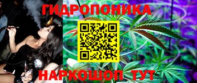 стафф Свободный