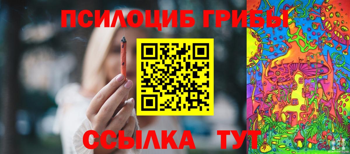 Псилоцибиновые грибы Cubensis Советский