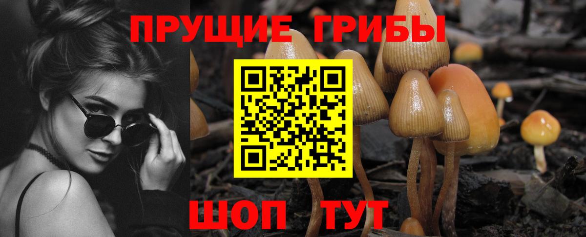 Псилоцибиновые грибы MAGIC MUSHROOMS  Вход с VPN  Советский  Псилоцибиновые грибы ЛСД 