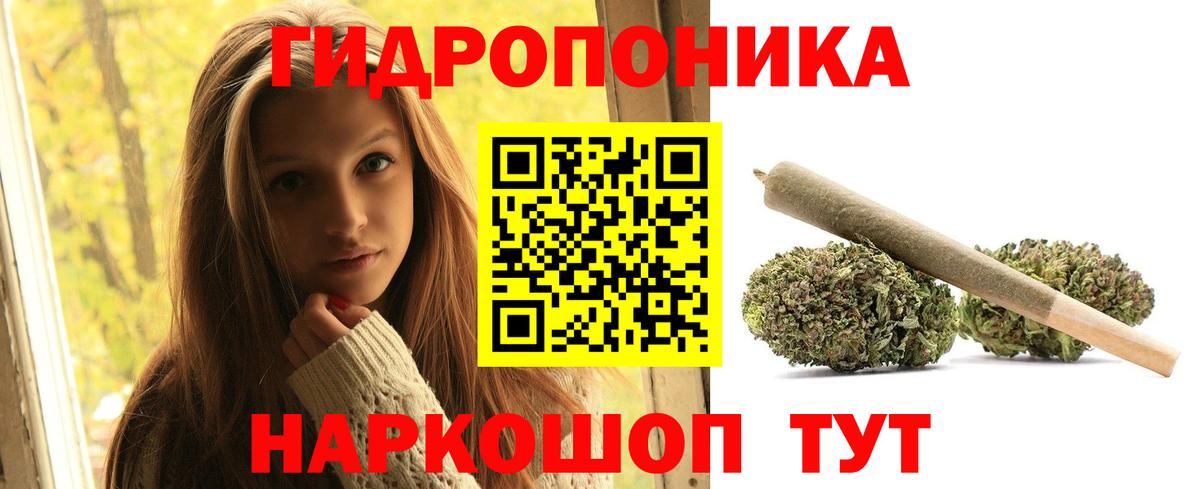 Конопля конопля  Конопля White Widow  Советский  Канабис OG Kush  Вход с VPN 
